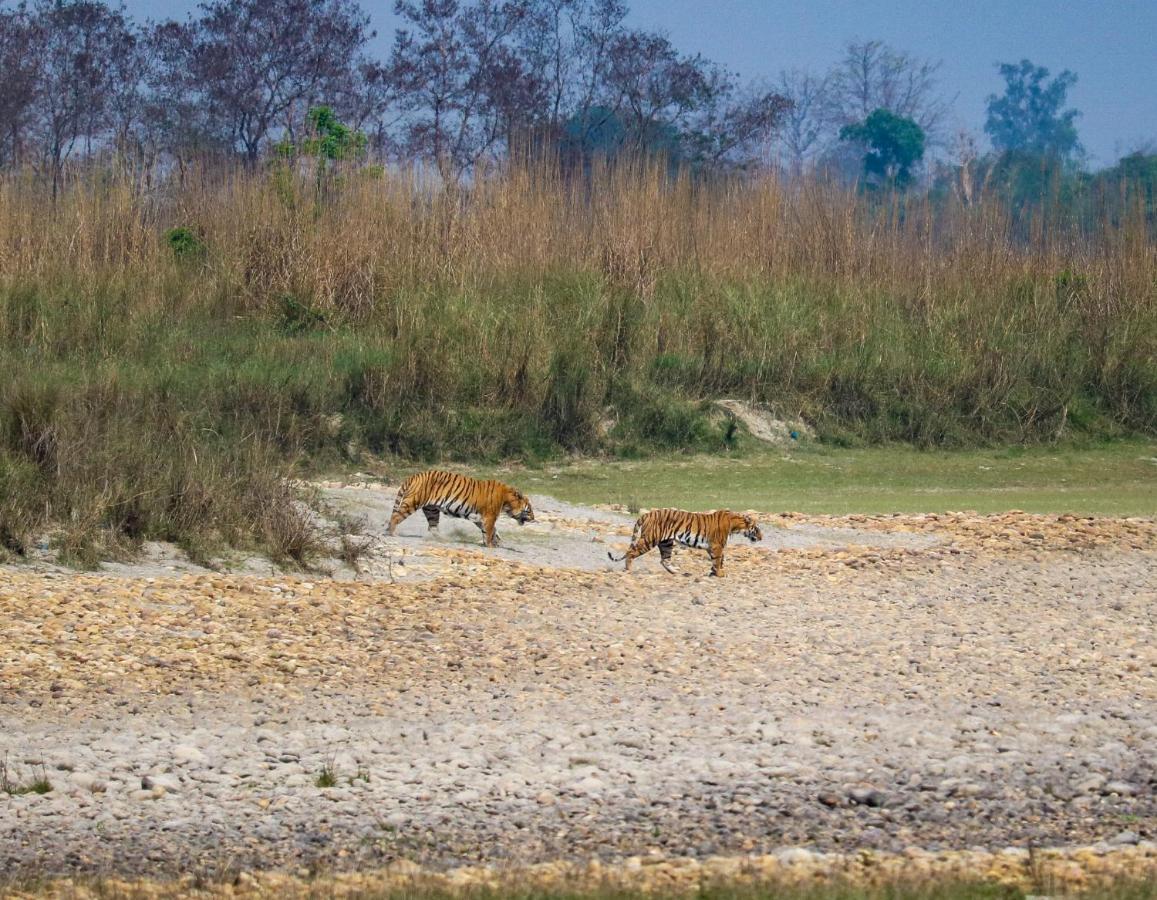 Bardia Wildlife Resort Bardiya Exterior photo