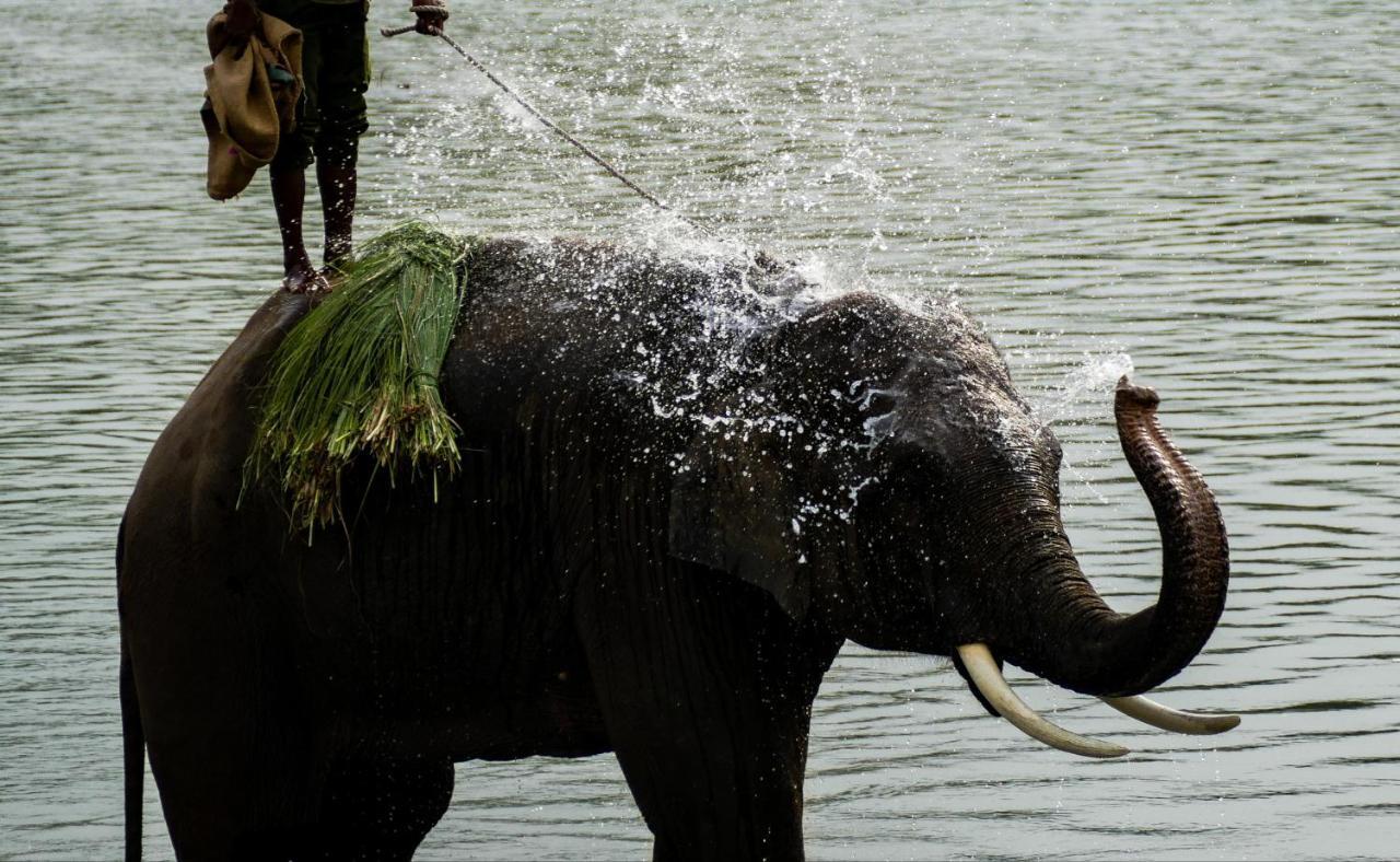 Bardia Wildlife Resort Bardiya Exterior photo