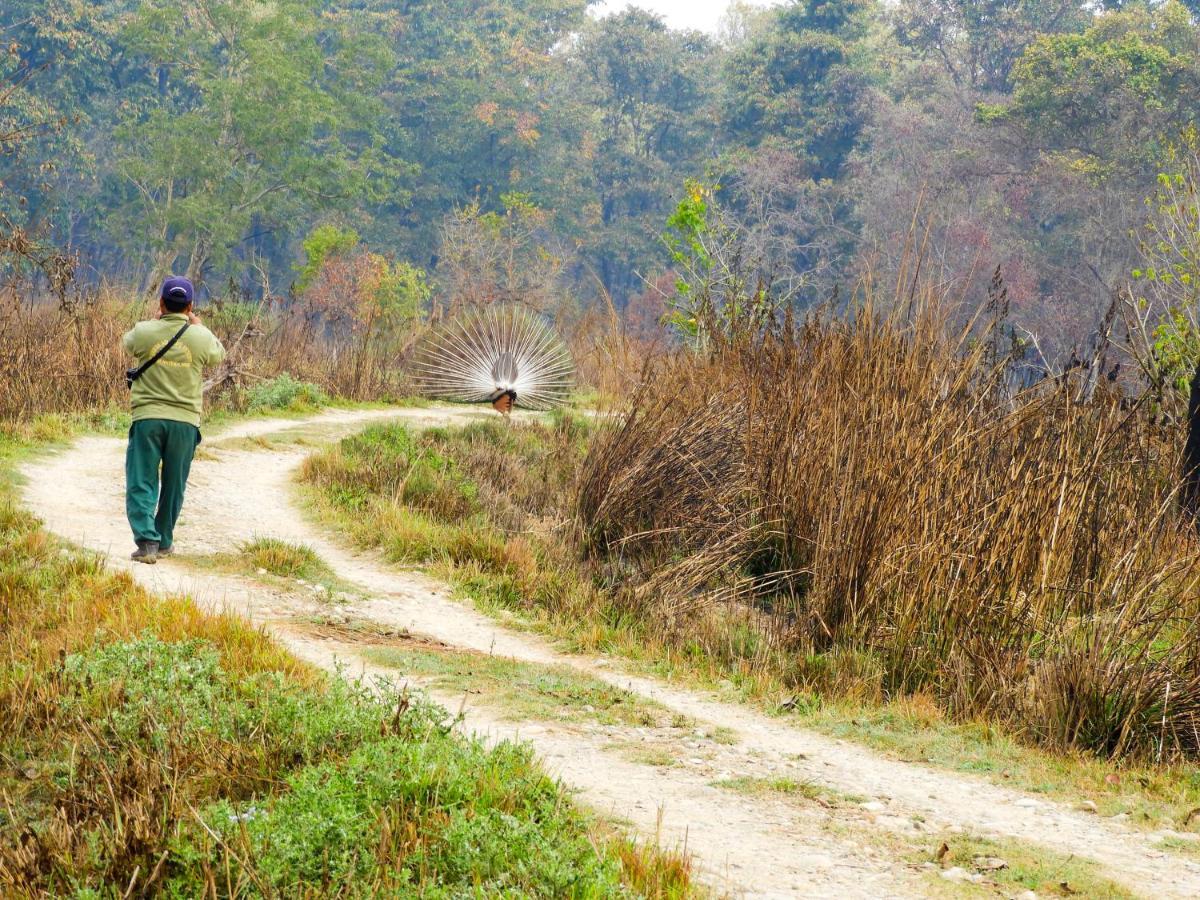 Bardia Wildlife Resort Bardiya Exterior photo