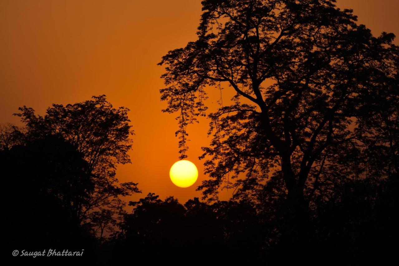 Bardia Wildlife Resort Bardiya Exterior photo